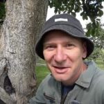 Ein hohler Baum ist kein Urteil: eine bewährte Methode zur