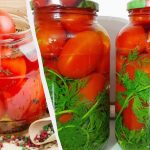 Eingelegte Tomaten „Vintage“ sind von Tomaten aus dem Fass nicht